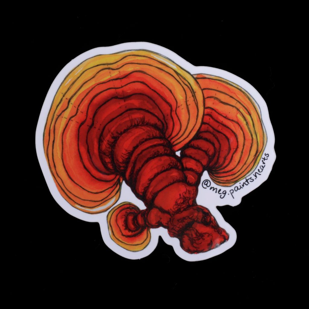 Reishi Mushroom Sticker