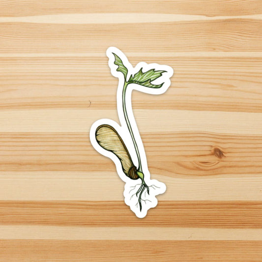 Maple Sprout Sticker