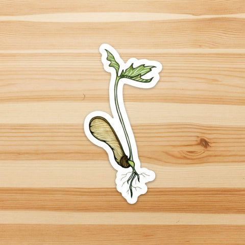 Maple Sprout Sticker