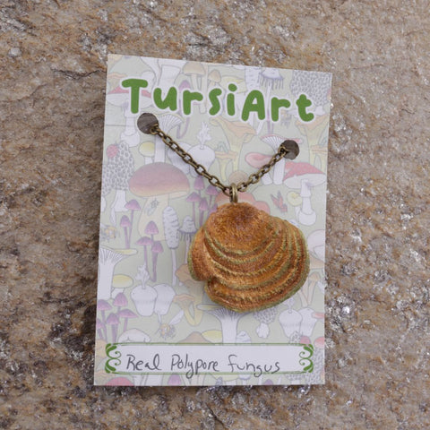 Real Polypore Fungus Pendant on Brass Chain