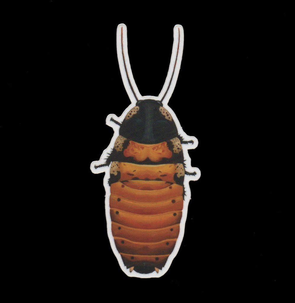 Cockroach Sticker