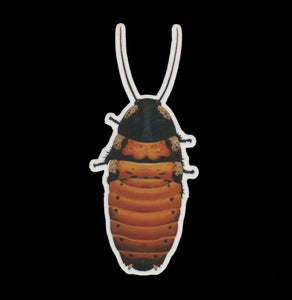 Cockroach Sticker