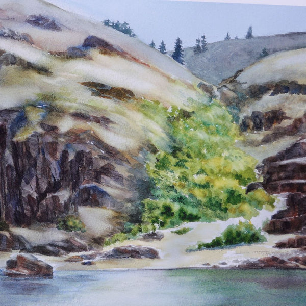 Salmon River Solitude Print