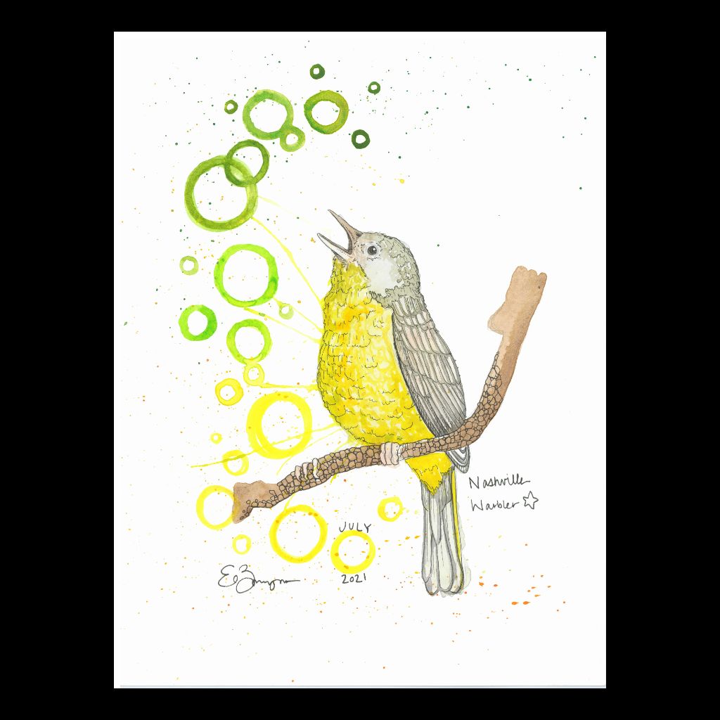 Nashville Warbler - Fine Art Greeting Card