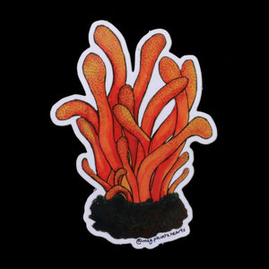 Cordyceps Mushroom Sticker