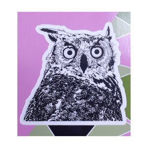 Stunned Owl Sticker