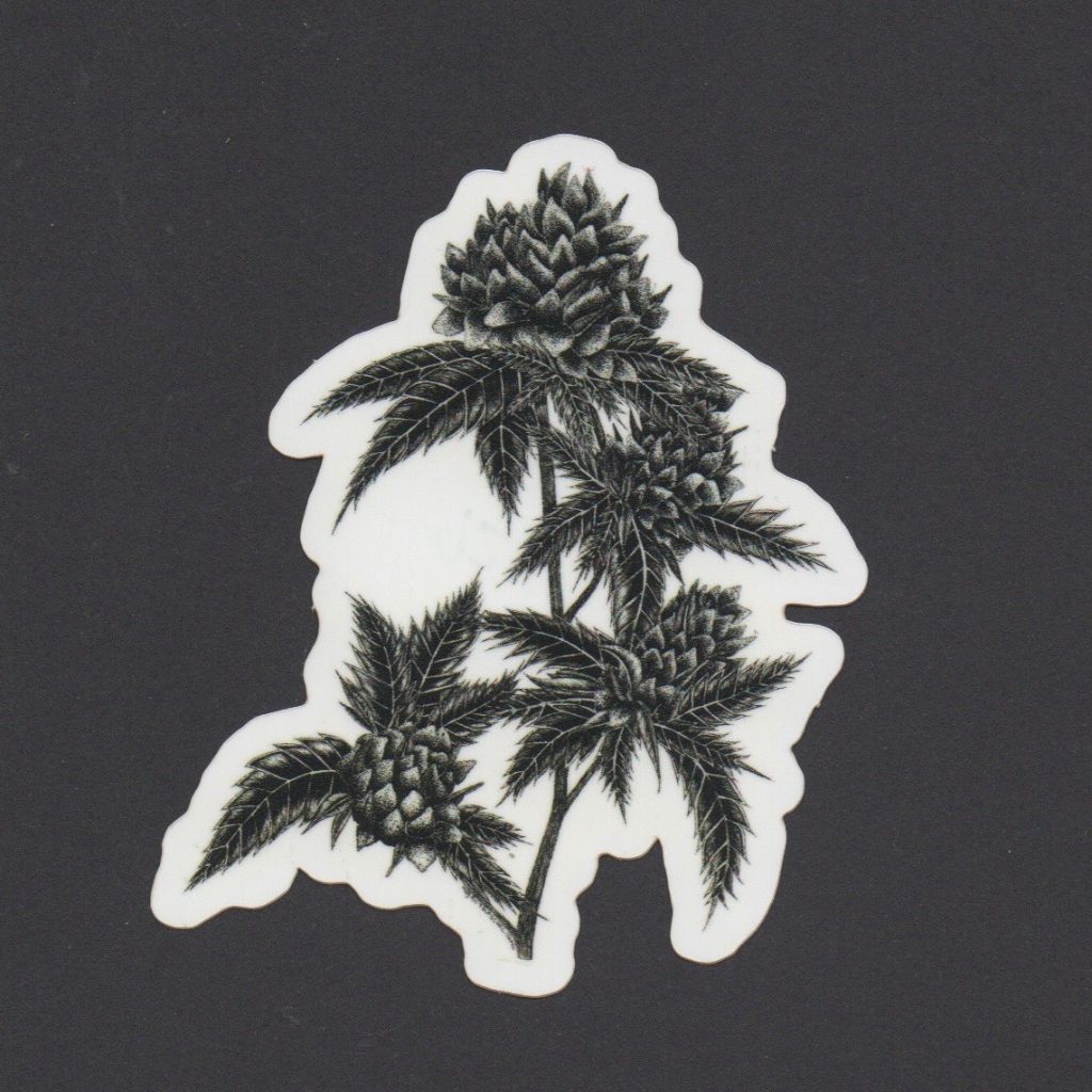 Indica Sticker