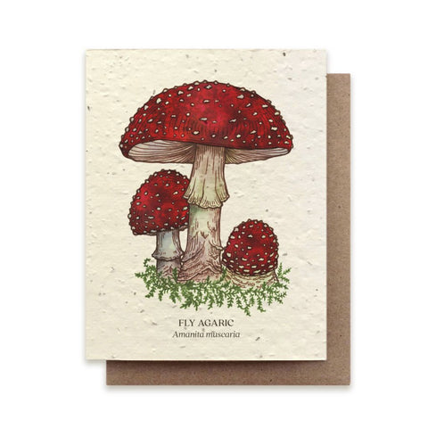 Fly Agaric Mushroom - Plantable Wildflower Card