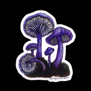 Amethyst Deceiver Mushroom