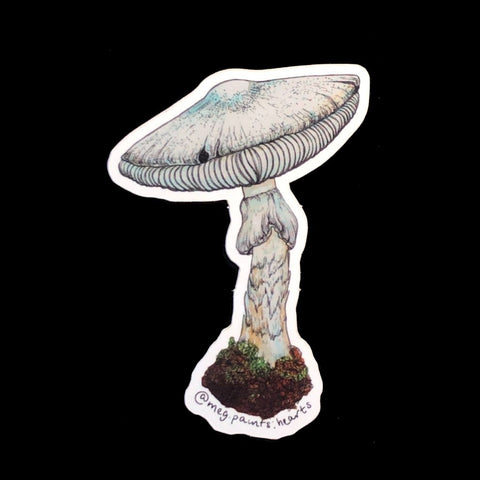 Destroying Angel Mushroom Sticker