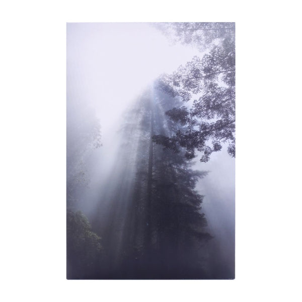 Morning Mist - Photograph on Canvas