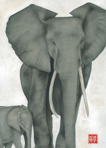 The Elephants Framed Fine Art Print