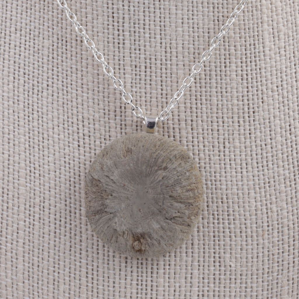 Real Fossil Coral Cyclolite Pendant Necklace