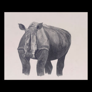 Rhinoceros Original Charcoal & Pencil Sketch