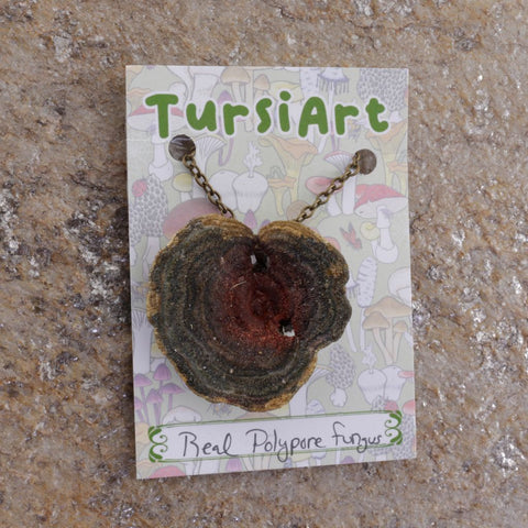 Real Polypore Fungus Pendant on Brass Chain