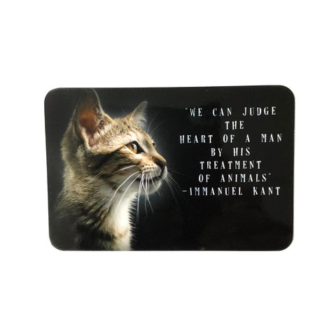 Immanuel Kant Quote Cat Magnet