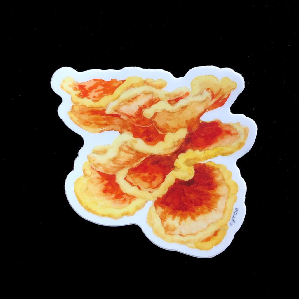 Chicken of the Woods Mushroom Sticker