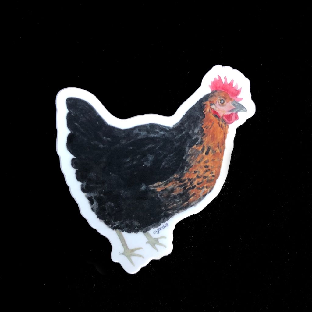Black Sexlink Hen Chicken Sticker