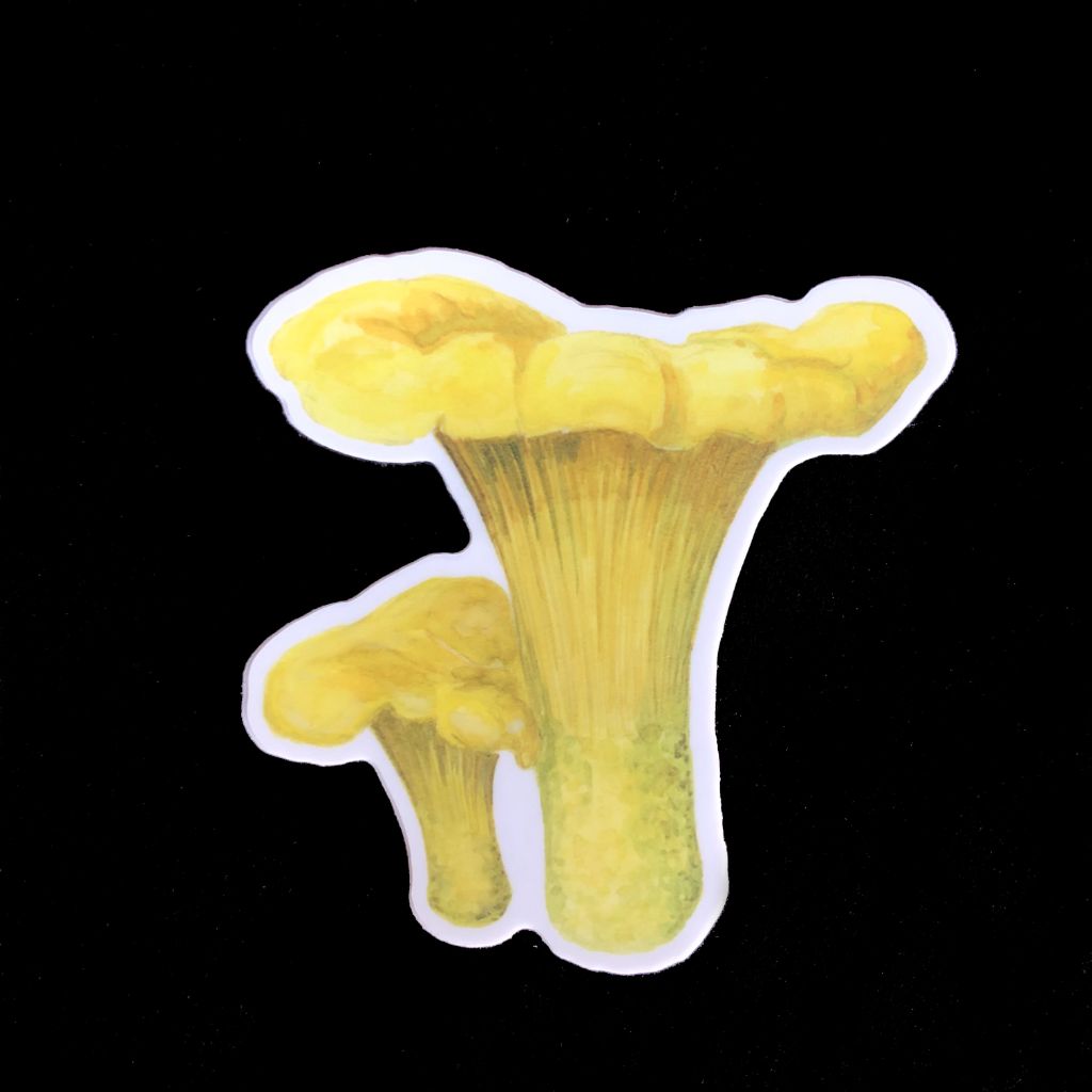 Chanterelle Mushroom Sticker