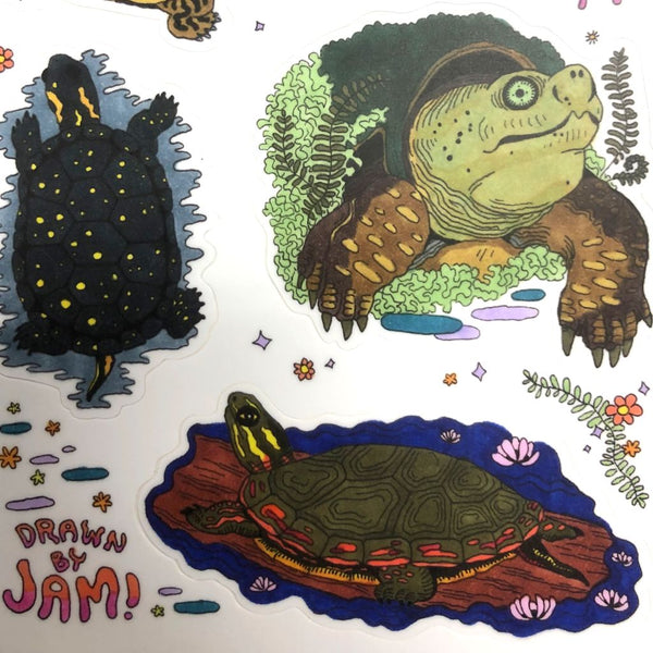 Turtles of the Midwest - Vinyl Sticker Sheet