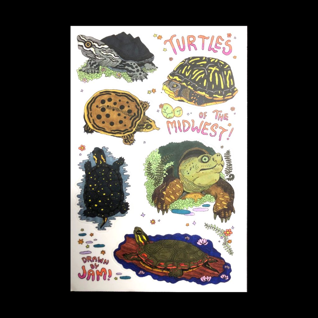 Turtles of the Midwest - Vinyl Sticker Sheet