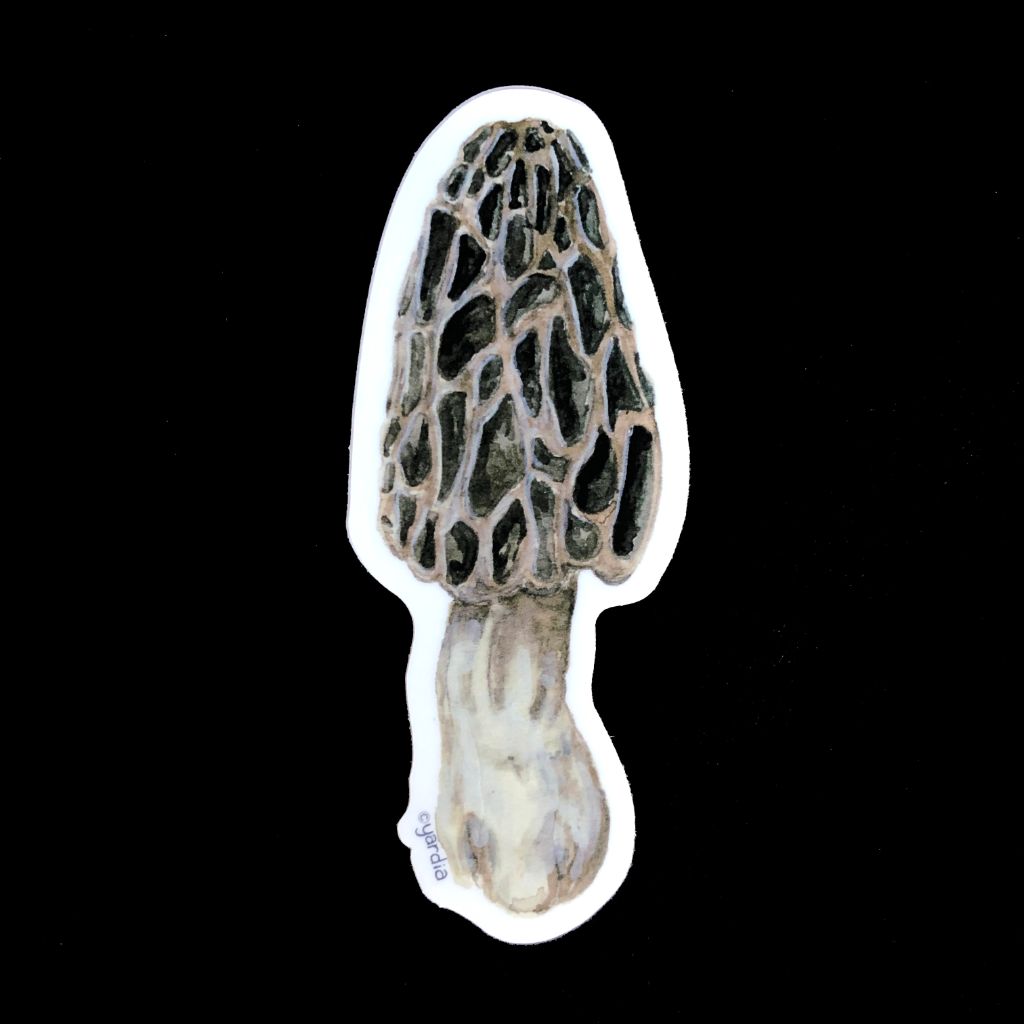 Morel Mushroom Sticker