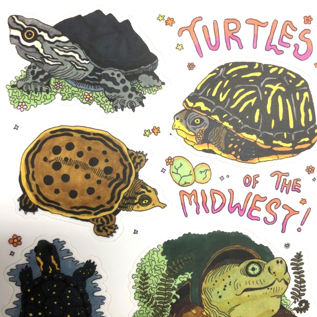 Turtles of the Midwest - Vinyl Sticker Sheet