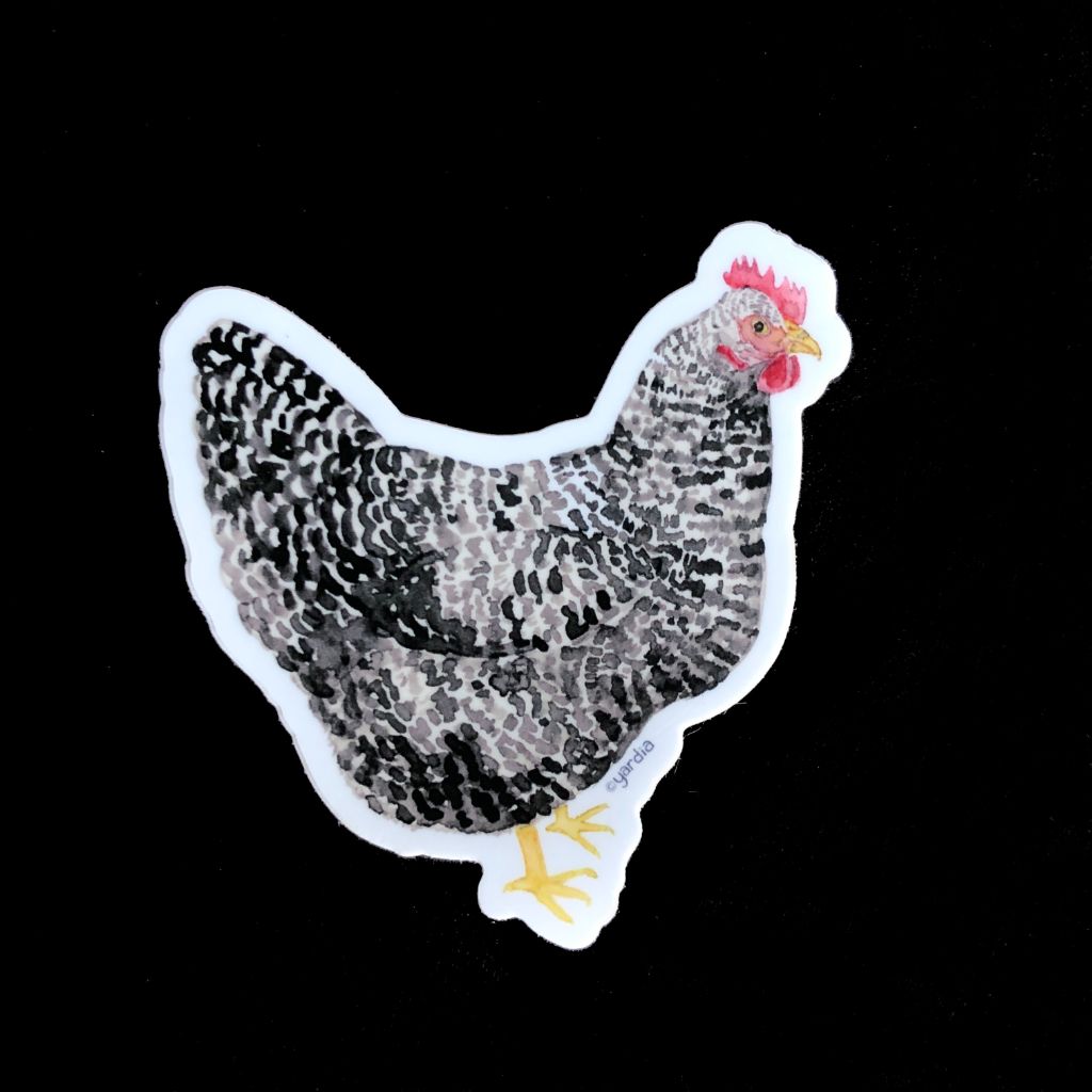 Barred Rock Hen Chicken Sticker