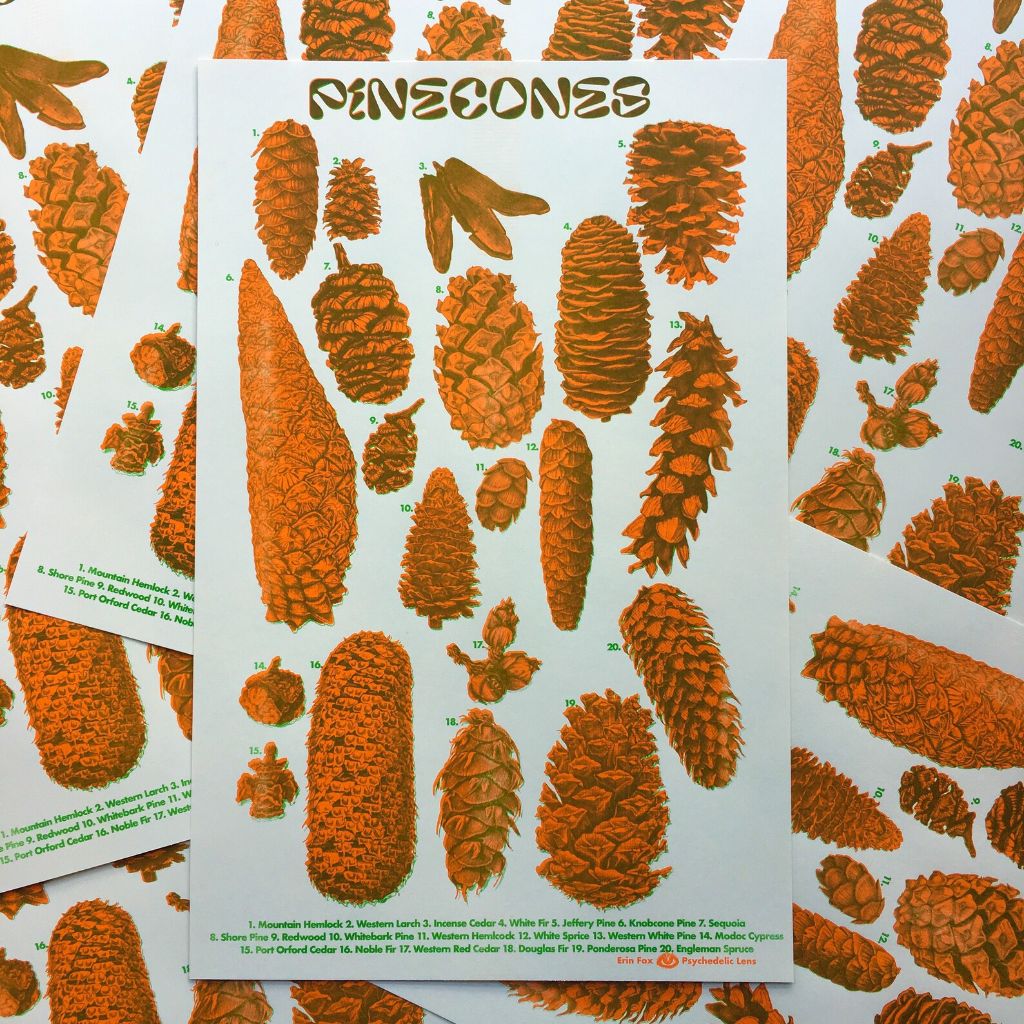 Pinecone ID Riso Print