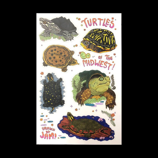 Turtles of the Midwest - Vinyl Sticker Sheet