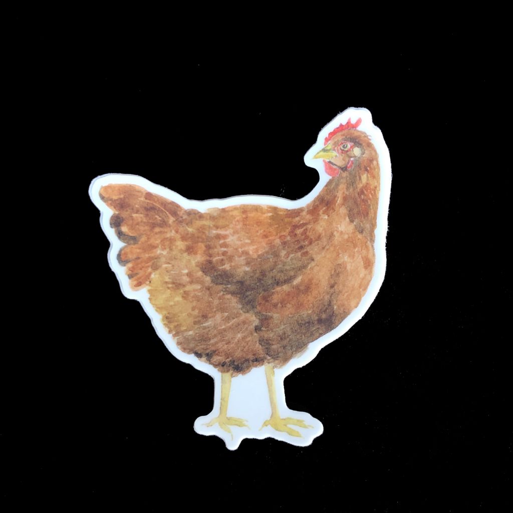 Rhode Island Red Chicken Sticker