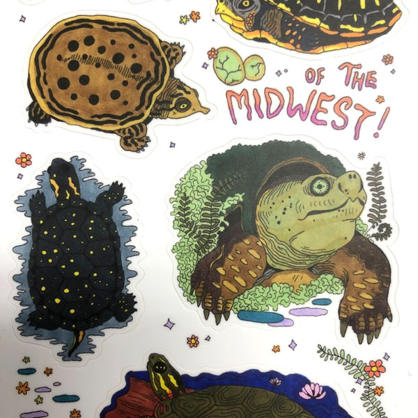 Turtles of the Midwest - Vinyl Sticker Sheet