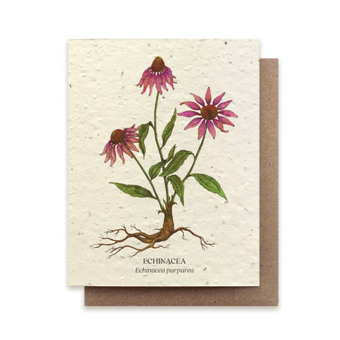 Echinacea - Plantable Wildflower Card