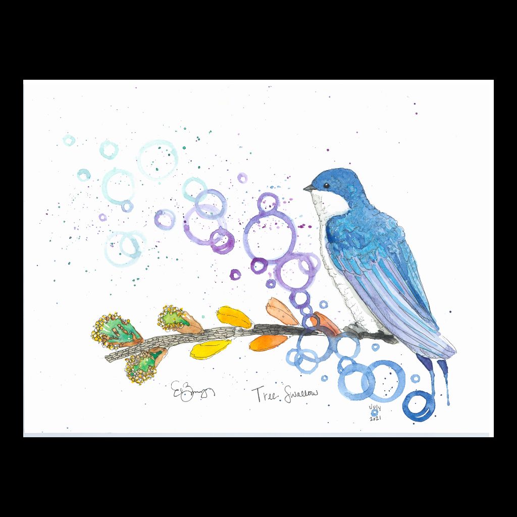 Tree Swallow - Fine Art Greeting Card