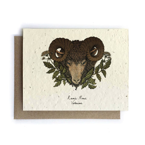 Ram's Head Valerian - Plantable Wildflower Card