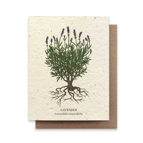 Lavender - Plantable Wildflower Card