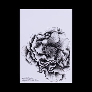 Rose Explosion - Botanical Print