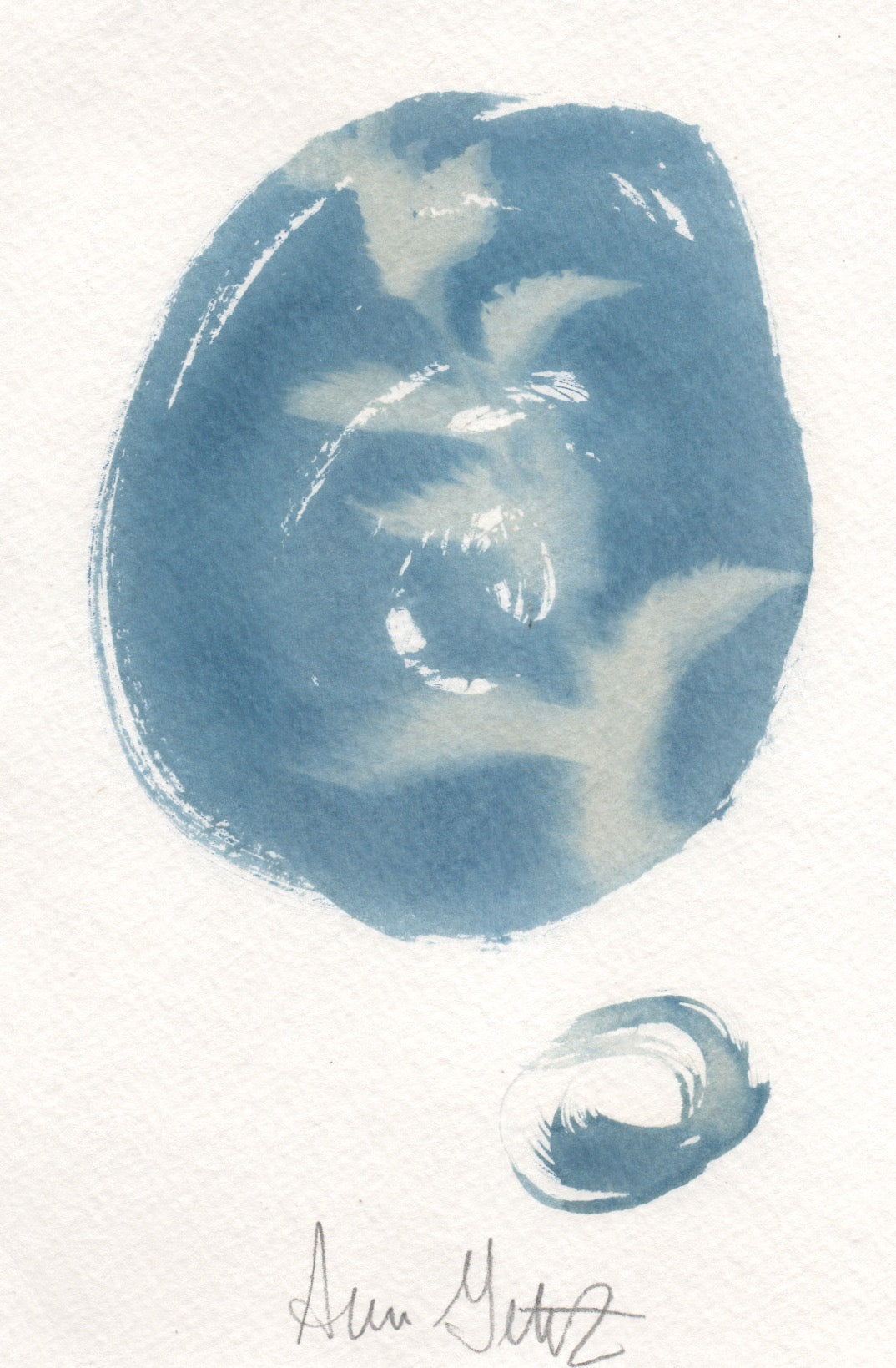 Cyanotype Abstract Fern Print