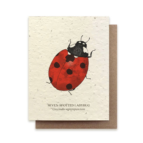 Seven-Spotted Lady bug Plantable Wildflower Card