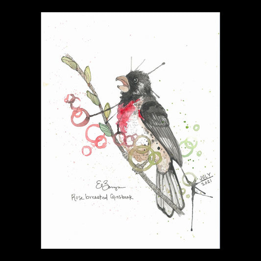 Rose Breasted Grosbeak - Fine Art Greeting Card