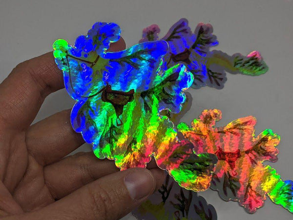 Leafy Sea Dragon Holographic Vinyl Sticker