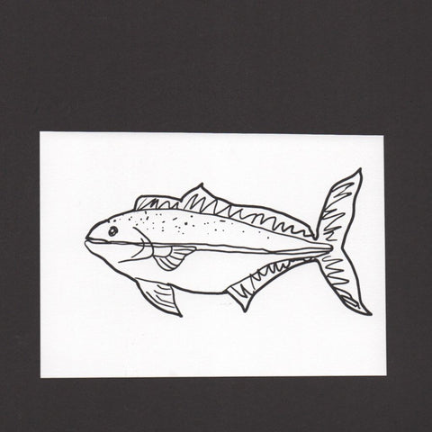 Fish Postcard