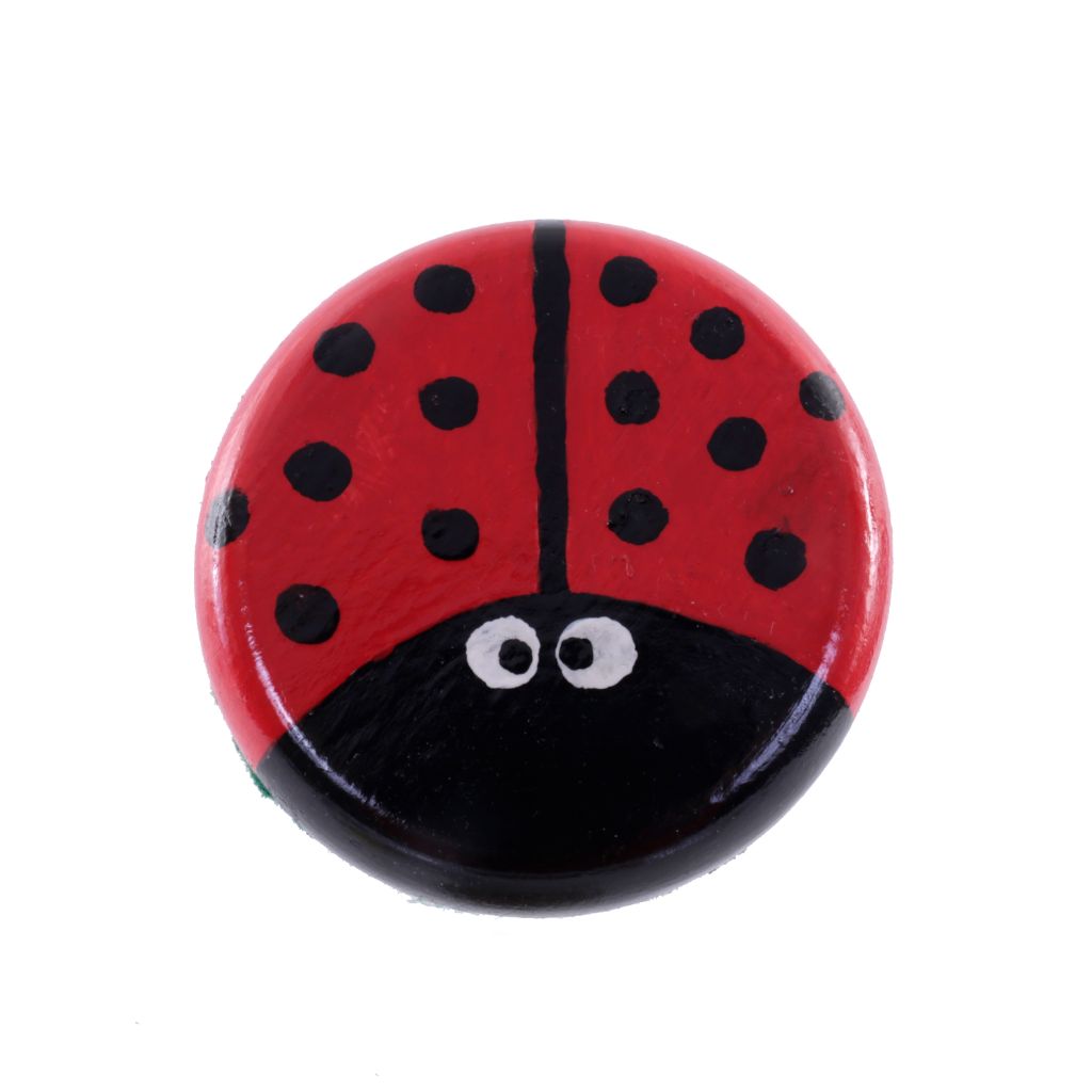 Hand Painted Ladybug - Red & Black