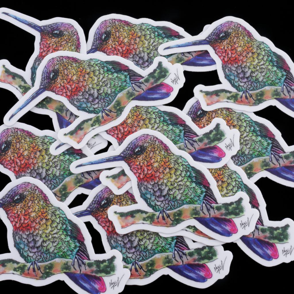 Rainbow Hummingbird Sticker