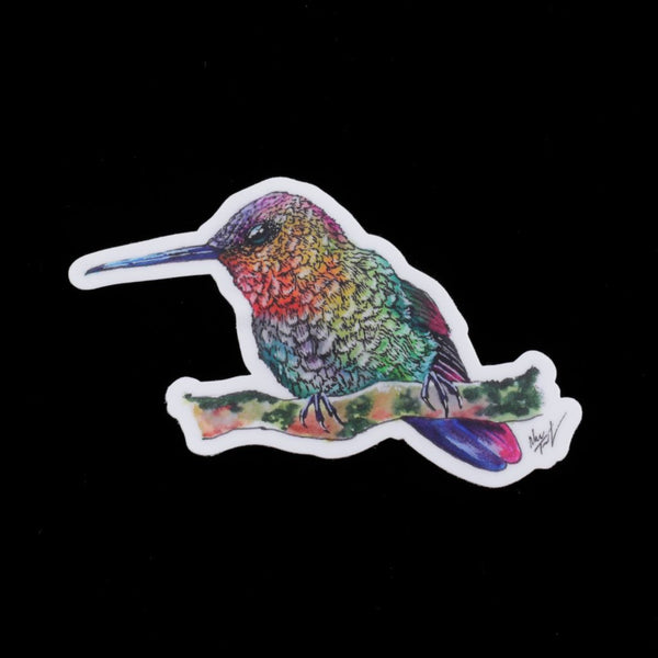 Rainbow Hummingbird Sticker